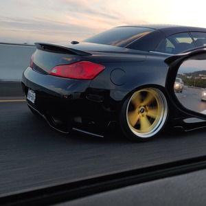 Meet your Posher, Rory